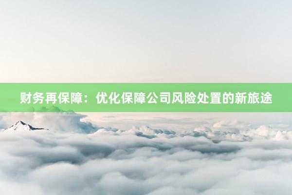 财务再保障：优化保障公司风险处置的新旅途