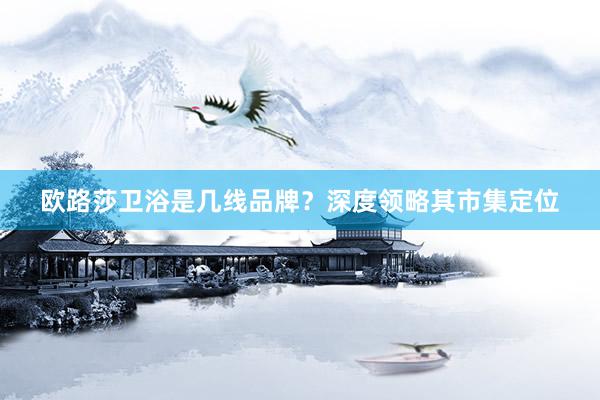 欧路莎卫浴是几线品牌？深度领略其市集定位