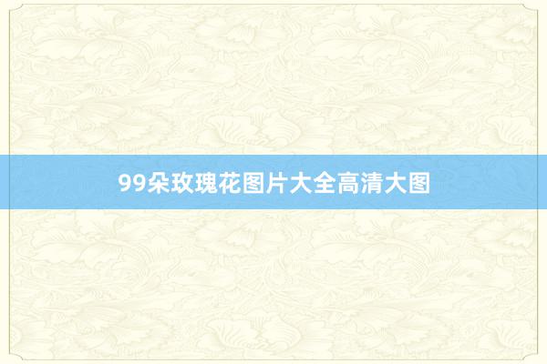 99朵玫瑰花图片大全高清大图